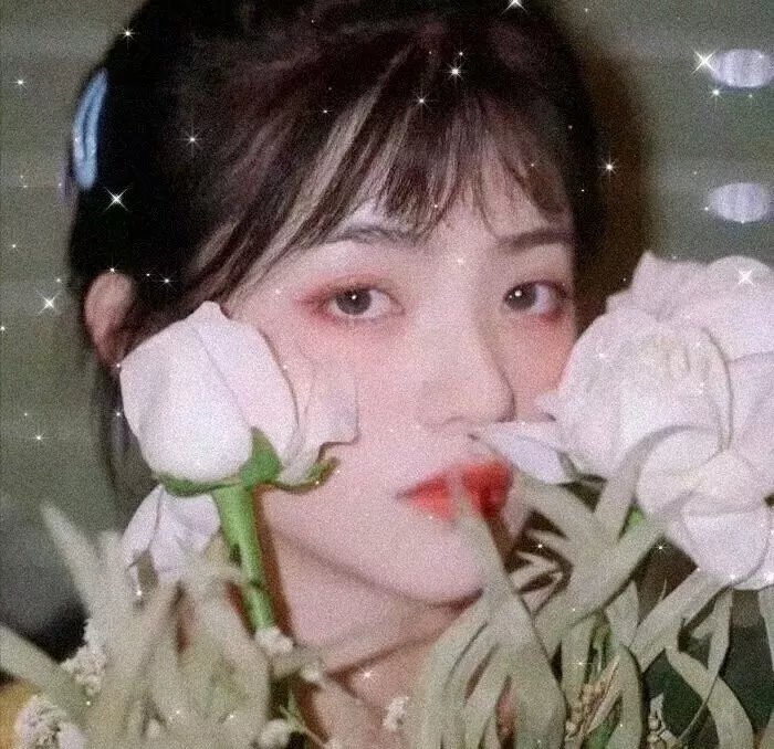 三个女人一个「因」粤语